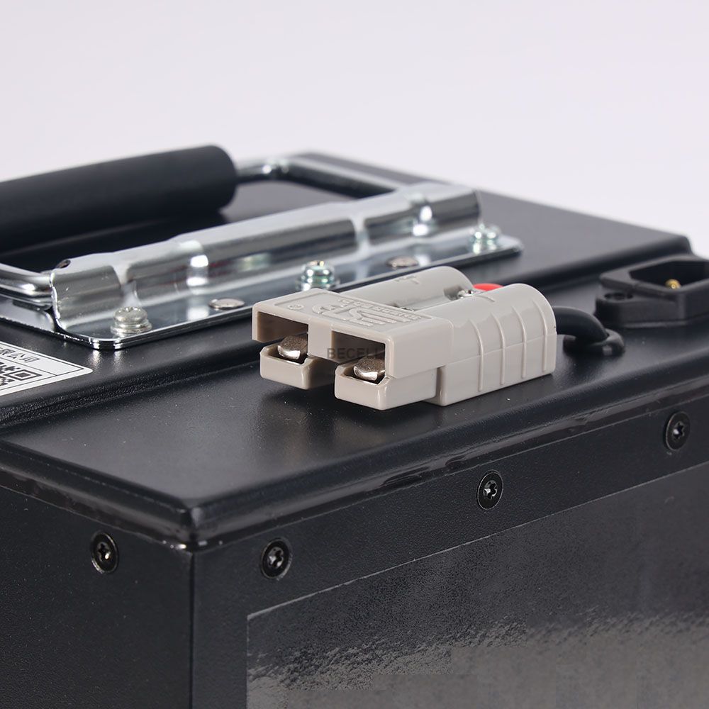 48V 30Ah LiFEPO4 Battery Pack