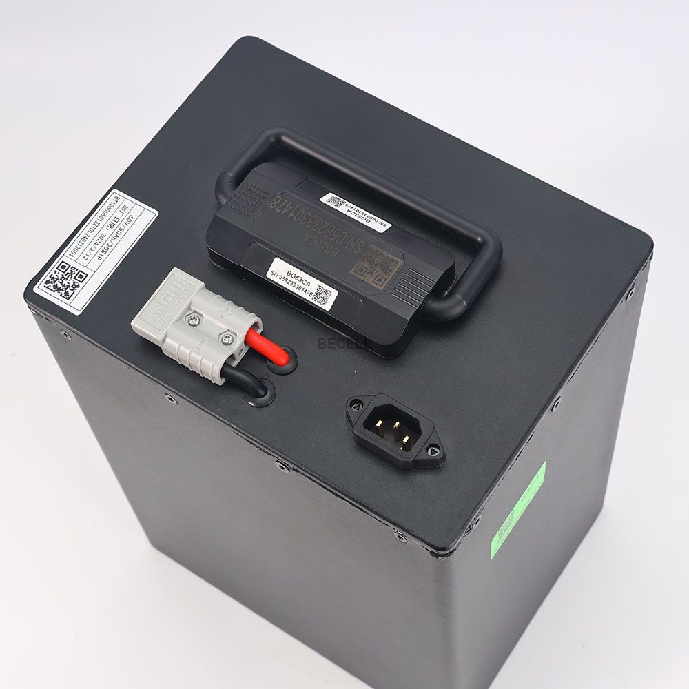 48V 30Ah LiFEPO4 Battery Pack