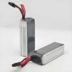 High-Discharge Li-Polymer Batteries – Tailored for Your Needs