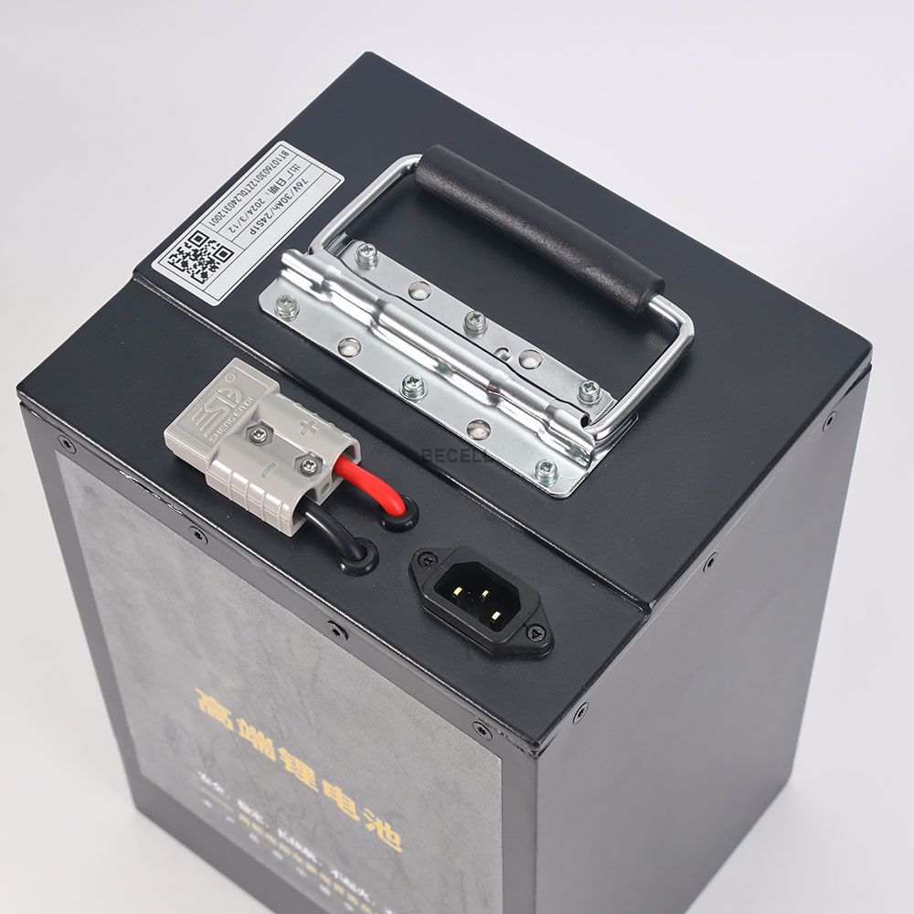 48V 30Ah LiFEPO4 Battery Pack